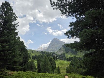 Fotografija s spletne strani Gudrun Lippert na poti