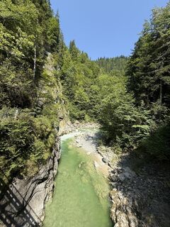 Kuva osoitteesta Willy 11 matkan varrella