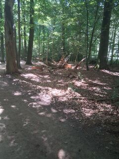 Foto von Wiffwagener entlang der Tour