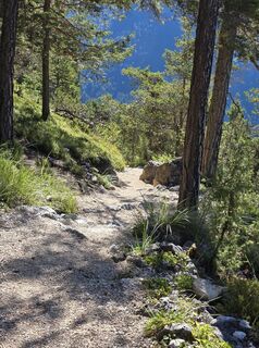 Photo de Simone Weimann le long du parcours