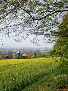 Blick vom Landwehrweg nach SW über Lemgo