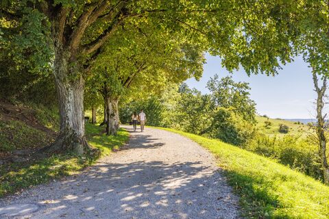 Weg zur Festungsruine
