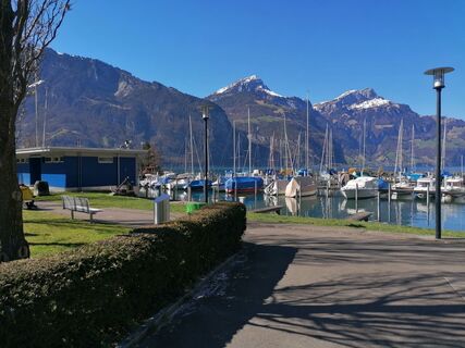 Photo de luyyy le long du parcours