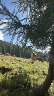 Foto de Agnese Martinelli a lo largo del recorrido
