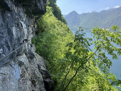 Fotografia z Heikoala na trase