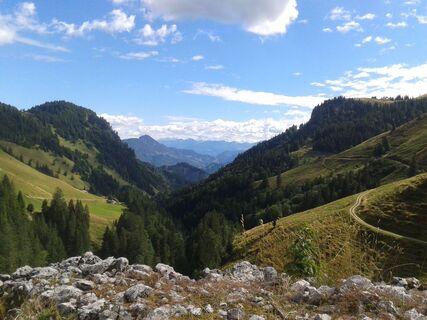 BAumgartenalm.jpg