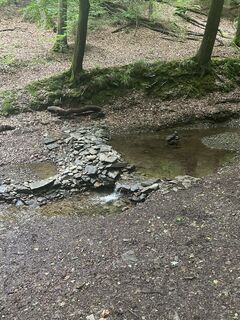 Fotografija s spletne strani Thorsten Strüver na poti