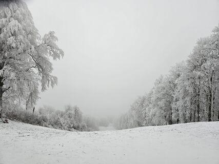 Photo de Attila Bicskó le long du parcours