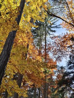 Фото с сайта Heinz Weber in во время экскурсии