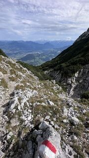 Foto von Mountain Cat ? ⛰️ entlang der Tour