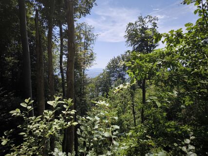 Foto da Colleen Wieser lungo il tour
