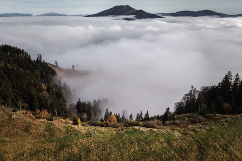 Unterwegs im Gebiet des Brucker Hochanger