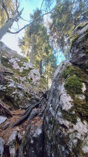 Fotografija s spletne strani Regina Fleischmann na poti