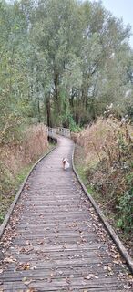 Zdjęcie z Danny Verdonck wzdłuż trasy