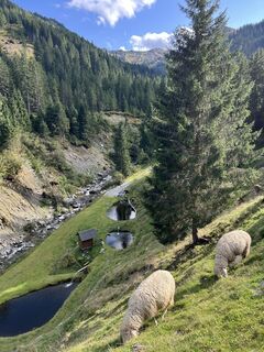 Foto von Philipp Kruse entlang der Tour