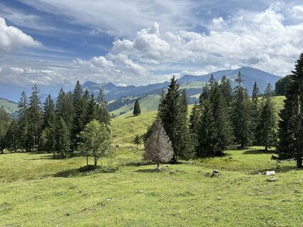 Fotografie z justasimpleguy na trase