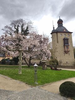 Foto von Peter Wachel entlang der Tour