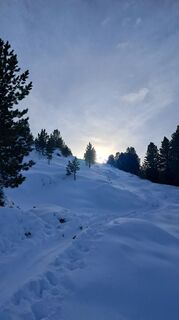 Photo de Urban Wille le long du parcours