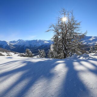 Lichtspiel
