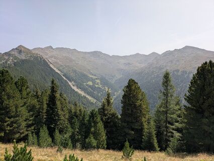 Foto de Koit a lo largo del recorrido