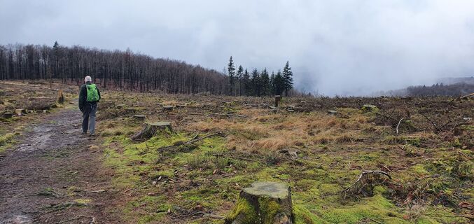 Wandern bei Eversberg im Naturpark Arnsberger Wald
