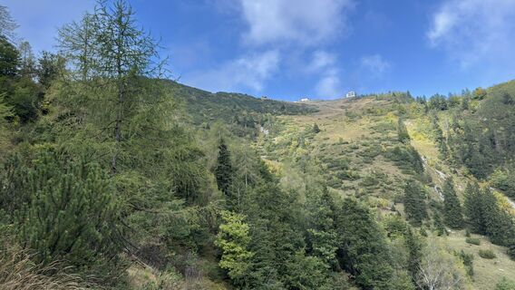 Fotografie de la Horst-Dieter Lutz de-a lungul turului