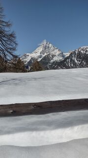 Fotografija s spletne strani oscarpette82 na poti