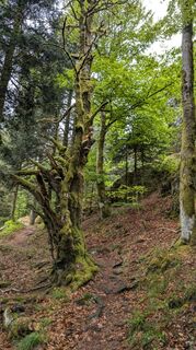 Photo de Richard Schwald le long du parcours