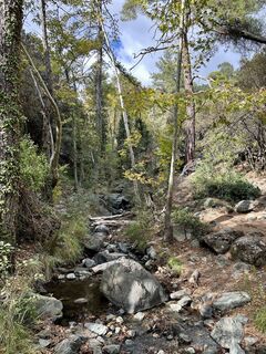 Fotografie z mido na trase