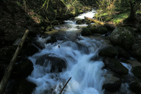 Höllbach
