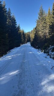 Foto von Cedric Jetter entlang der Tour