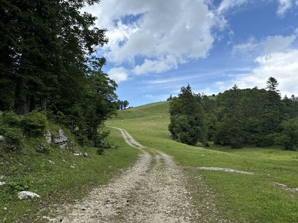 Fotografija s spletne strani Heinz Sperl na poti