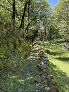 Photo de Rico Vincenz le long du parcours