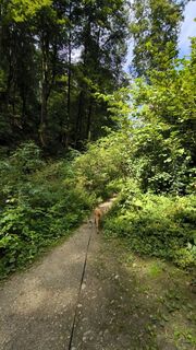 Fotó a Cati W1985 honlapról a túra során