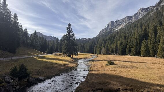 Foto von peter_oe entlang der Tour