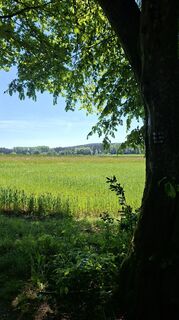 Fotografie z Rainer Krombholz na trase