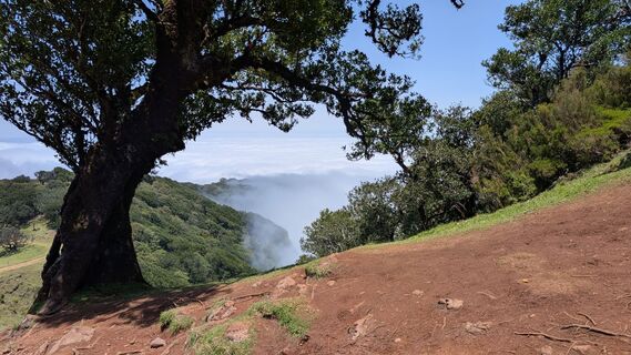 Photo de Evah Deedee le long du parcours