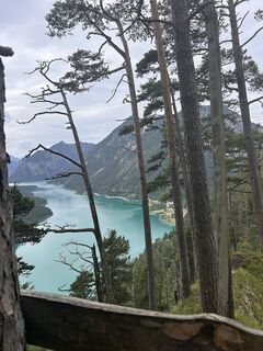 Fotografija s spletne strani Thomas Wally na poti