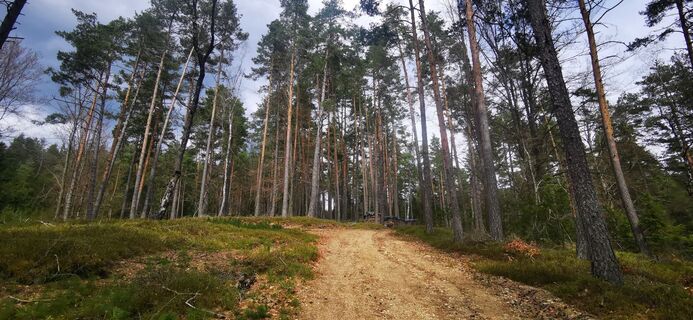 Foto von Klaus Lehner entlang der Tour