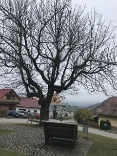 Foto de Renate Spitzl a lo largo del recorrido