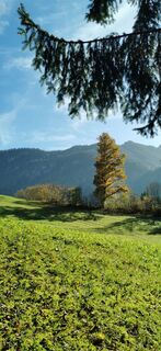 Foto van Chnorli-Furz langs de tour