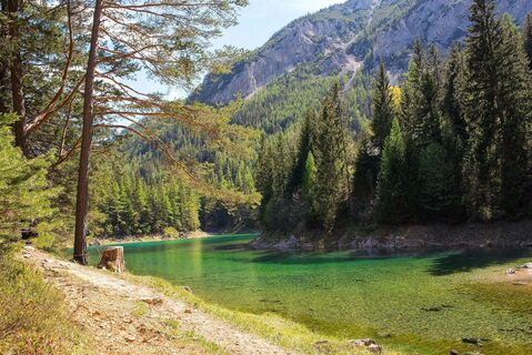 Grüner See im Frühling