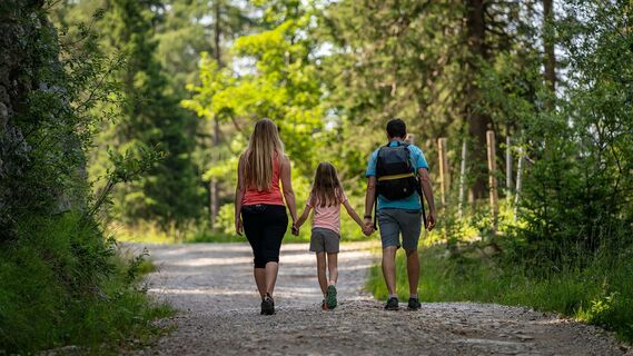 Familienwanderung zur Buchauer Alm - am Forstweg