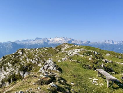 Fotografija s spletne strani Natur_erleben_dg na poti