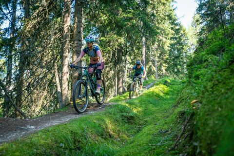 Mountainbiken auf dem Buckelwald Trail