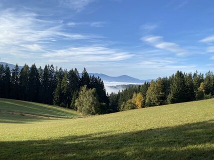 Foto von Melanie Hörzer entlang der Tour