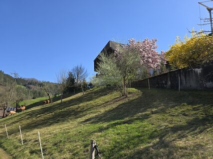 Foto von Michel Kennel entlang der Tour