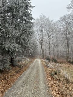 Fotografia z Kristijan Držaj na trase