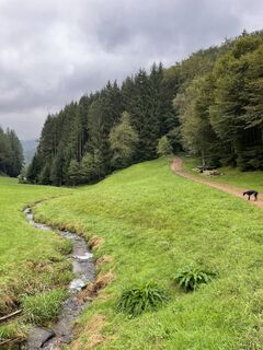 Panoramatour Katzenmoos