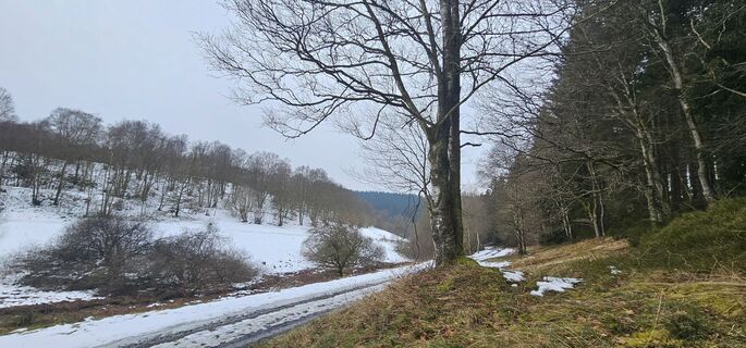 Foto von Wolfgang Riemer entlang der Tour